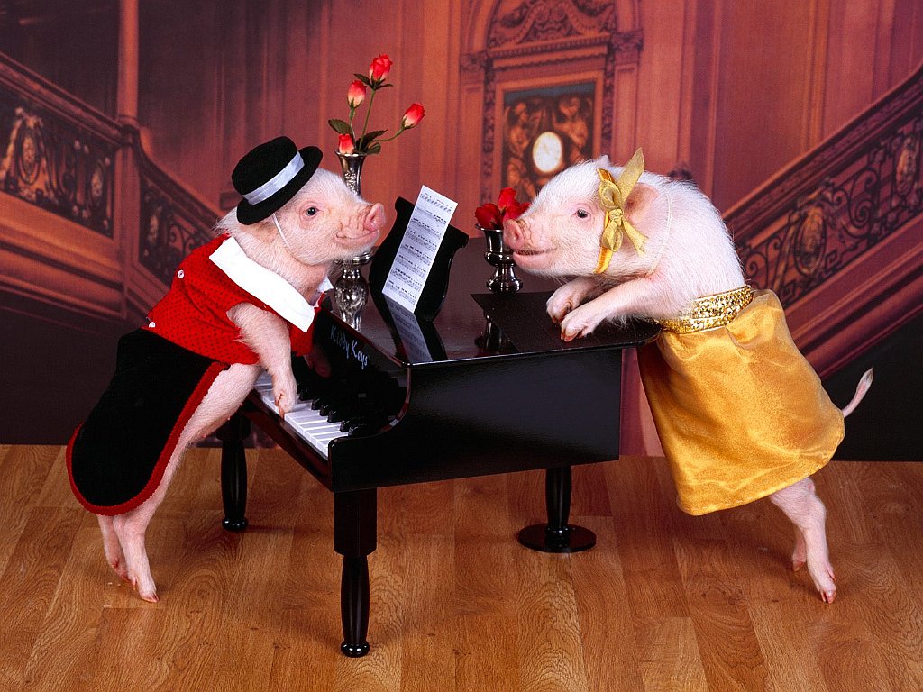 Play it Again Ham